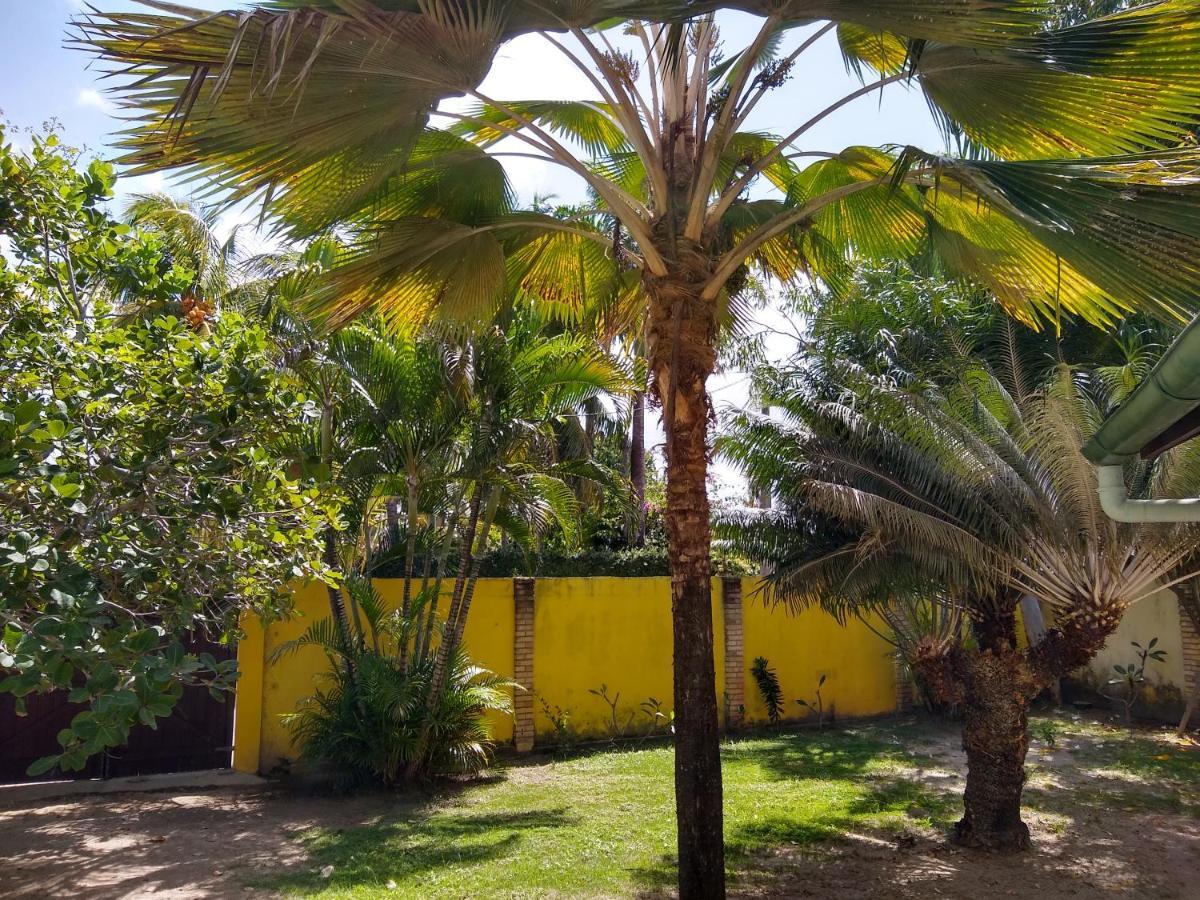 Hotel Pousada Porto Do Colibri Pôrto das Galinhas Exteriér fotografie